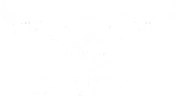ASIO Gear logo