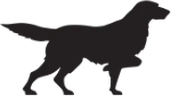 Irish Setter logo