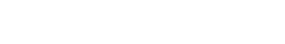Lone Star Silencer logo