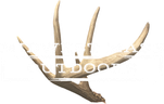 Midwest Mass Outdoors logo