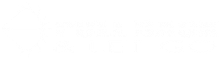 Pull Back & Let Go logo