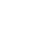 Steyr Arms logo