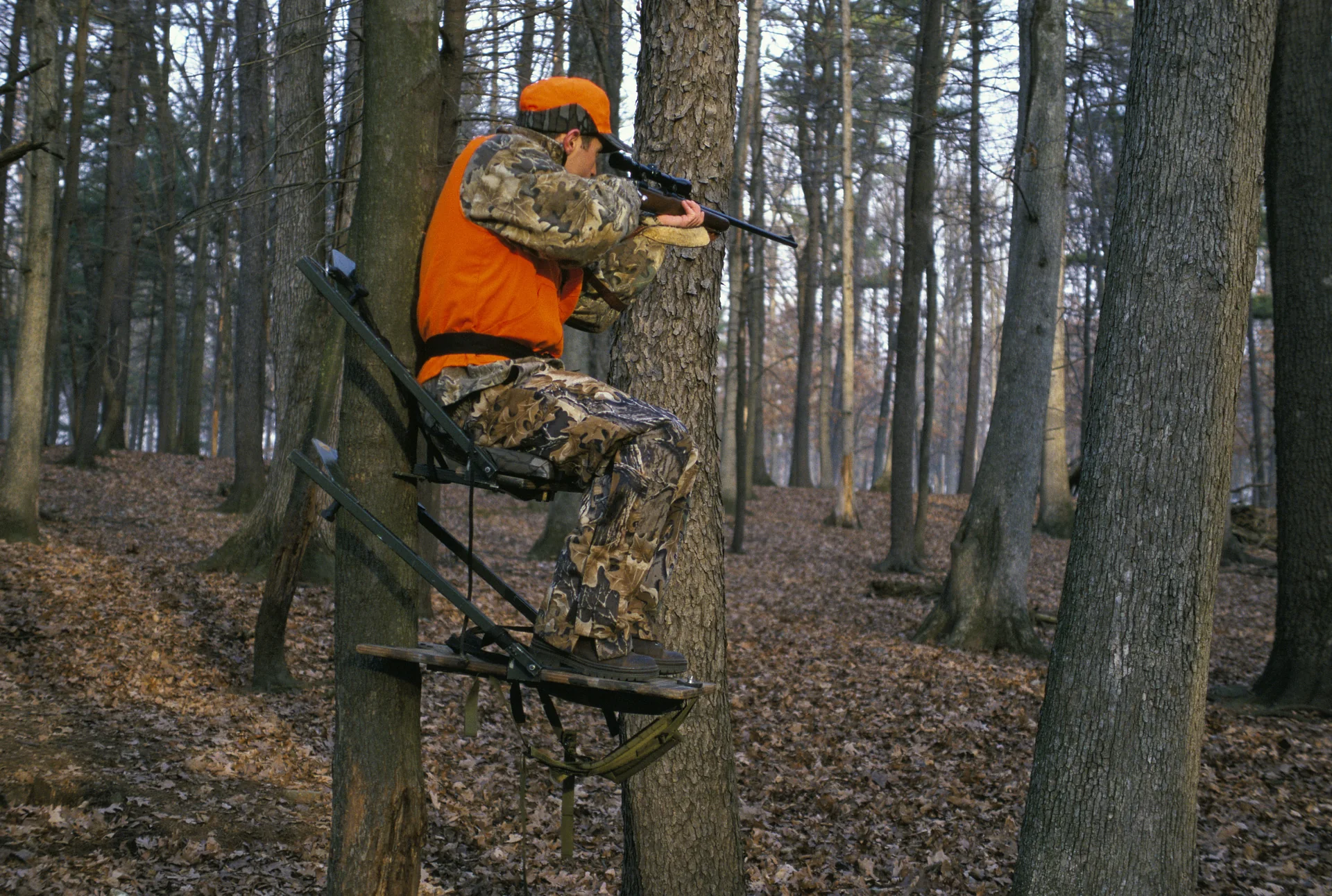 A hunter in camouflage and blaze orange sits in a tree stand in bare autumn woods.