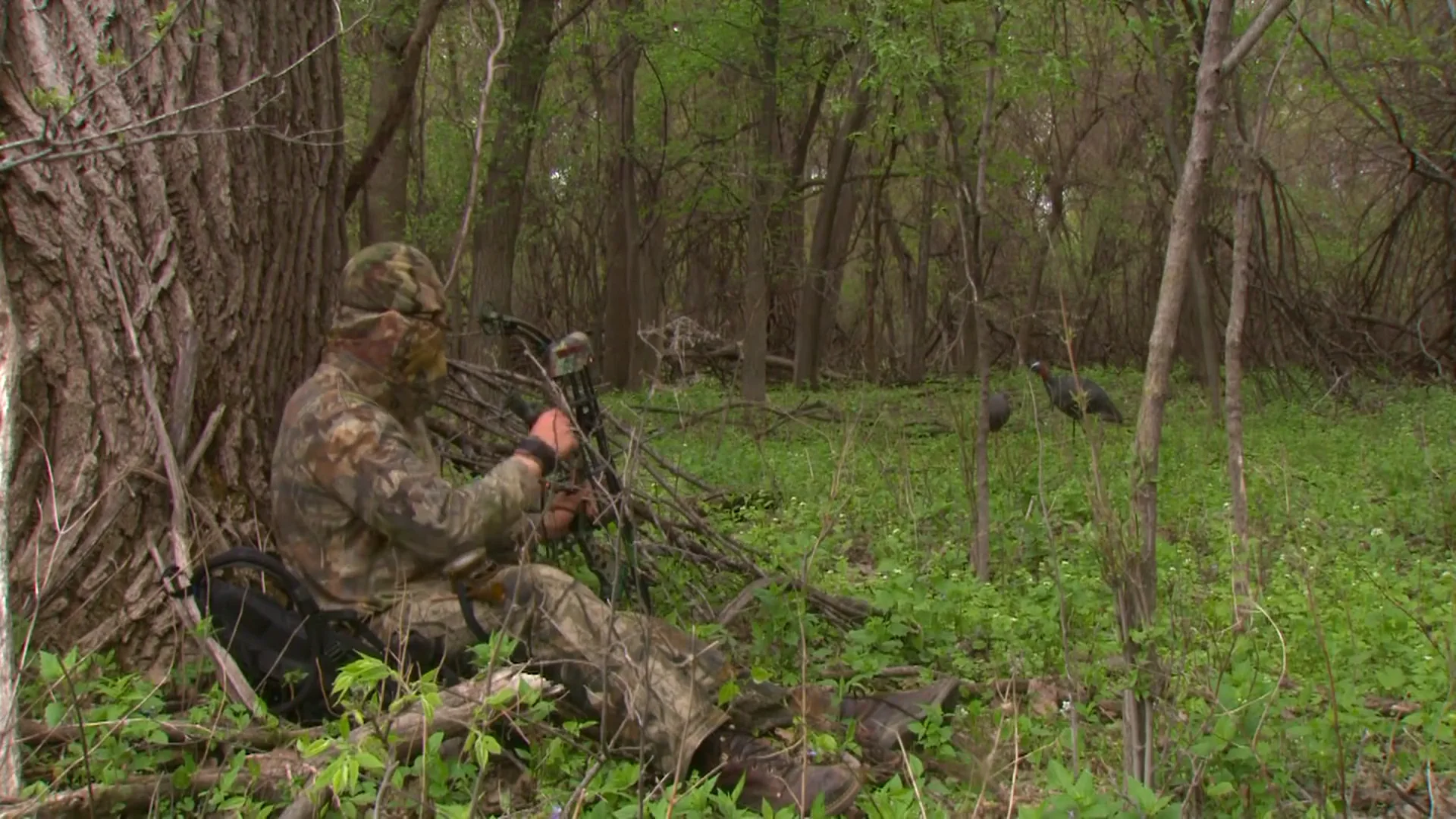 A fully camouflaged bowhunter sits against a tree in spring woods, with two turkey decoys ahead.